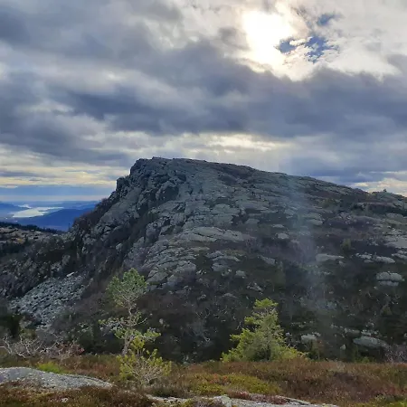 Grostul Lifjell