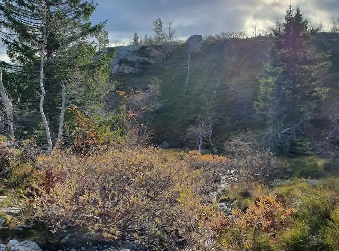 Grostul بيت للعطل *